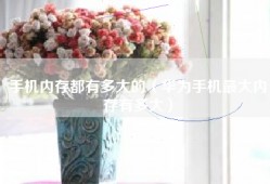 手机内存都有多大的（华为手机最大内存有多大）