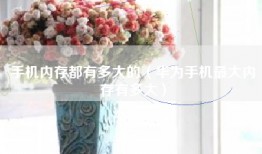 手机内存都有多大的（华为手机最大内存有多大）