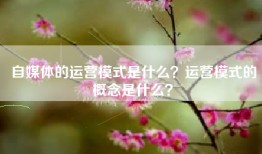 自媒体的运营模式是什么？运营模式的概念是什么？