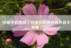 安卓手机黑屏（安卓手机黑屏有声音不亮屏）