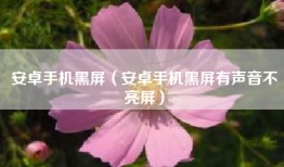 安卓手机黑屏（安卓手机黑屏有声音不亮屏）