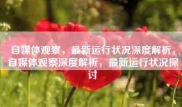 自媒体观察，最新运行状况深度解析，自媒体观察深度解析，最新运行状况探讨