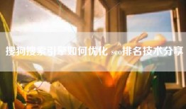 搜狗搜索引擎如何优化 seo排名技术分享