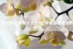 马云预言未来十大行业_未来最有前景的职业