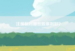 注册制对哪些股票利好？