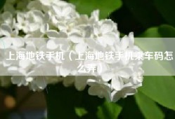 上海地铁手机（上海地铁手机乘车码怎么弄）