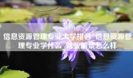 信息资源管理专业大学排名_信息资源管理专业学什么_就业前景怎么样