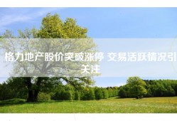 格力地产股价突破涨停 交易活跃情况引关注
