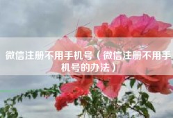 微信注册不用手机号（微信注册不用手机号的办法）