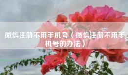 微信注册不用手机号（微信注册不用手机号的办法）