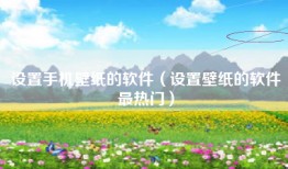 设置手机壁纸的软件（设置壁纸的软件最热门）