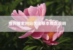 搜狗搜索网站优化基本概念说明