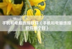 手机和电脑连接软件（手机和电脑连接软件哪个好）