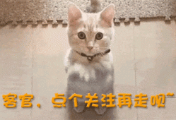 宋飞担任春晚语言类节目负责人，不要再教育人，不要包饺子了！