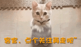 宋飞担任春晚语言类节目负责人，不要再教育人，不要包饺子了！
