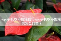 oppo手机收不到短信（oppo手机收不到短信怎么回事）