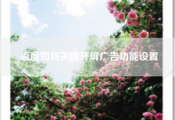 百度如何关闭开屏广告功能设置