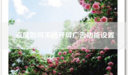 百度如何关闭开屏广告功能设置