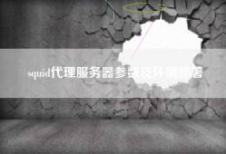 squid代理服务器参数及环境部署
