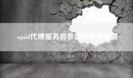 squid代理服务器参数及环境部署