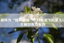 被称为“国产最强”，科大讯飞的星火AI大模型有点东西