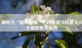 被称为“国产最强”，科大讯飞的星火AI大模型有点东西