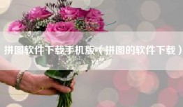 拼图软件下载手机版（拼图的软件下载）