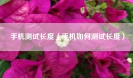 手机测试长度（手机如何测试长度）