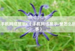 手机网络显示E（手机网络显示e是怎么回事）