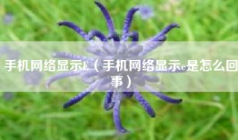 手机网络显示E(手机网络显示e是怎么回事)