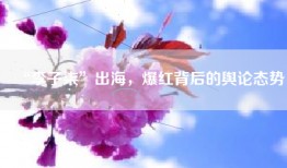 “李子柒”出海，爆红背后的舆论态势