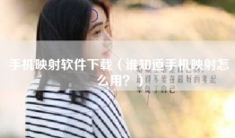 手机映射软件下载（谁知道手机映射怎么用？）