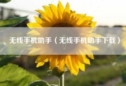 无线手机助手（无线手机助手下载）