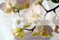 手机泡椒（泡椒app怎么样）
