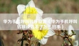 华为手机呼叫转移设置（华为手机呼叫转移设置不了怎么回事）