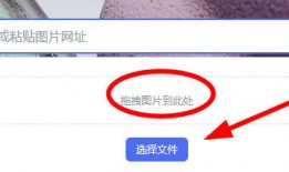 百度识图怎么用 百度识图用法【详解】