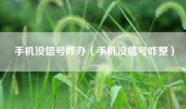 手机没信号咋办（手机没信号咋整）