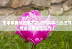 苹果手机触摸屏不灵（苹果手机触摸屏完全没反应怎么办）