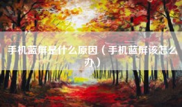 手机蓝屏是什么原因（手机蓝屏该怎么办）