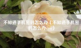 不知道手机密码怎么办（不知道手机密码怎么办vivo）