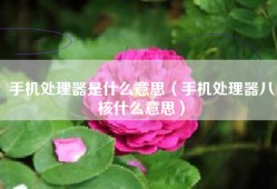 手机处理器是什么意思（手机处理器八核什么意思）