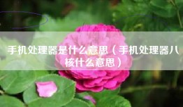 手机处理器是什么意思（手机处理器八核什么意思）