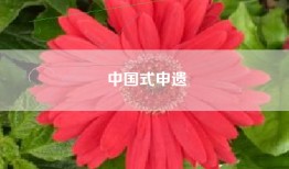 中国式申遗
