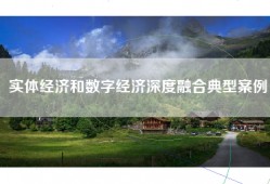 实体经济和数字经济深度融合典型案例