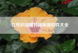 在线识别图片找原图软件大全