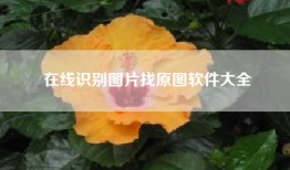 在线识别图片找原图软件大全