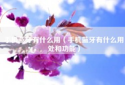 手机蓝牙有什么用（手机蓝牙有什么用处和功能）