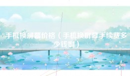 手机换屏幕价格(手机换屏幕手续费多少钱啊)