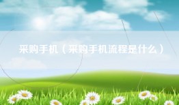 采购手机（采购手机流程是什么）