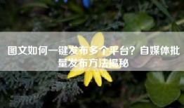 图文如何一键发布多个平台？自媒体批量发布方法揭秘